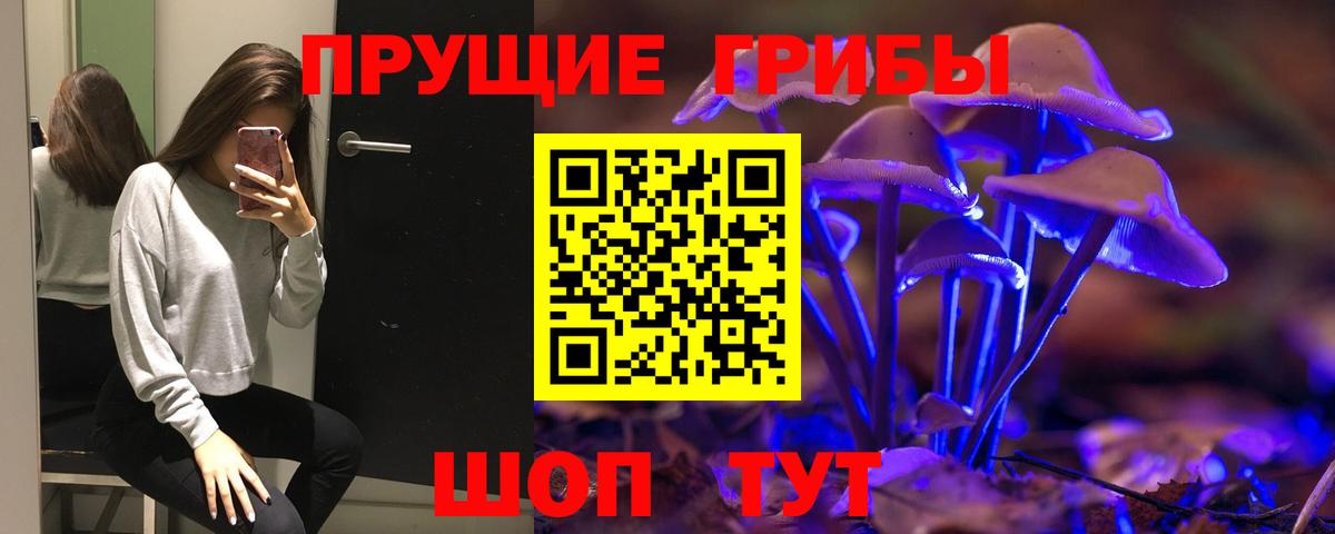 Псилоцибиновые грибы MAGIC MUSHROOMS Черняховск